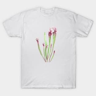 sarracenia leucophylla leaf watercolor T-Shirt